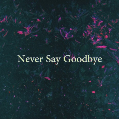 Never Say Goodbye | Boomplay Music