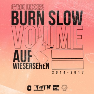 BURN SLOW VOLUME 2: AUF WIESERSEHEN 2014-2017