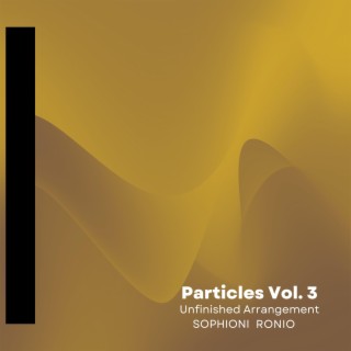 Particles Vol. 3: Unfinished Arrangement