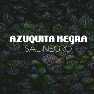 Azuquita Negra