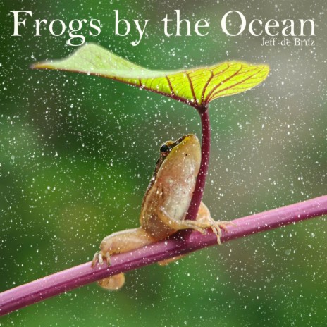 Frogs by the Ocean | Boomplay Music
