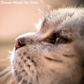 Dream Music for Cats