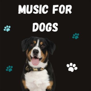 Music For Dogs (Vol.177)