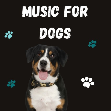 Dog Music Dreams ft. Music For Dogs, Calm Pets Music Academy & Relaxing Puppy Music | Boomplay Music