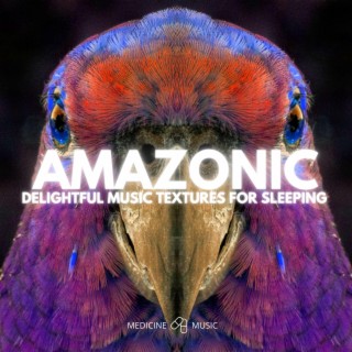 AMAZONIC (Delightful Music Textures For Sleeping)