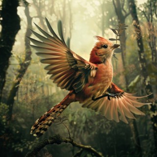 Binaural Bird Symphony: Nature’s Melodies