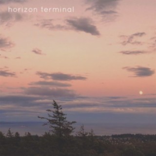 Horizon Terminal