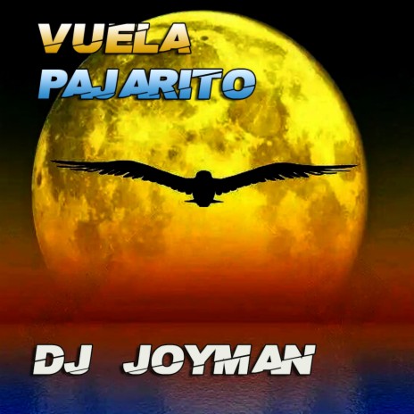 vuela pajarito | Boomplay Music