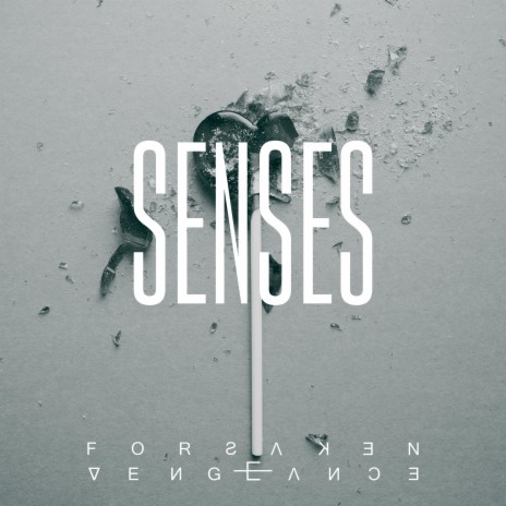 Senses | Boomplay Music