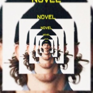 Novel