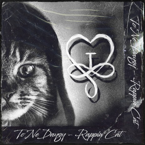 Rappin Cat | Boomplay Music