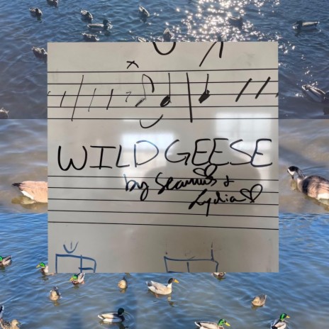 Wild Geese | Boomplay Music