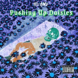 Pushing up Daisies | Boomplay Music