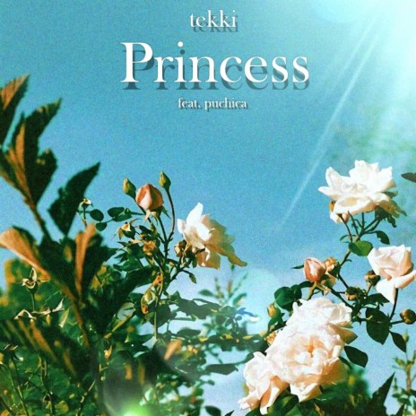 Princess (feat. Puchica!)