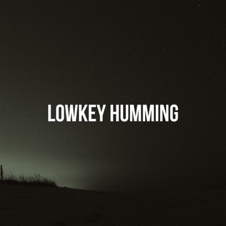 Lowkey Humming | Boomplay Music