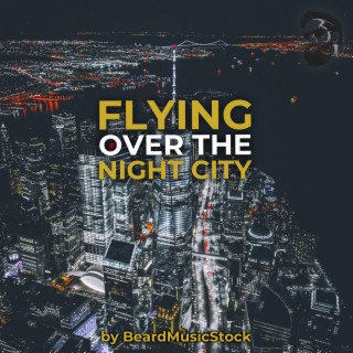 Flying Over The Night City