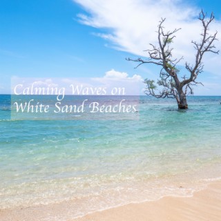 Calming Waves on White Sand Beaches