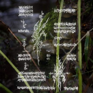 biogeochemicᵃ | *model.0f:milankovitch cYcles//press-->Start2begin(s)imulation ..