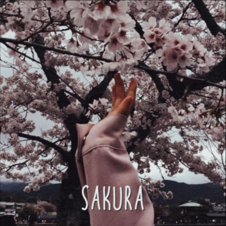 Sakura | Boomplay Music