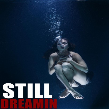 Still Dreamin | Boomplay Music