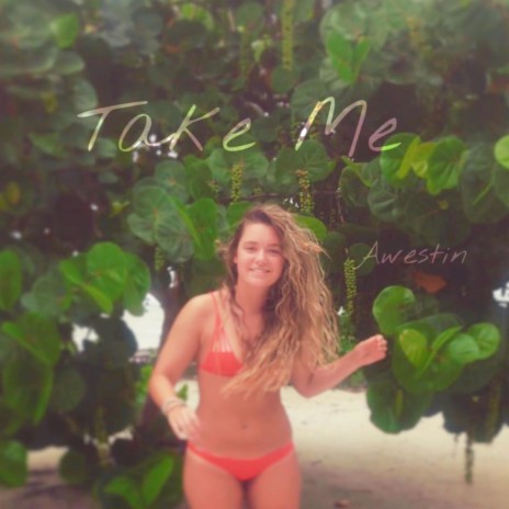 Take Me | Boomplay Music