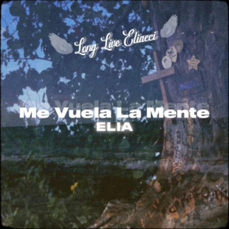 Me Vuela La Mente | Boomplay Music