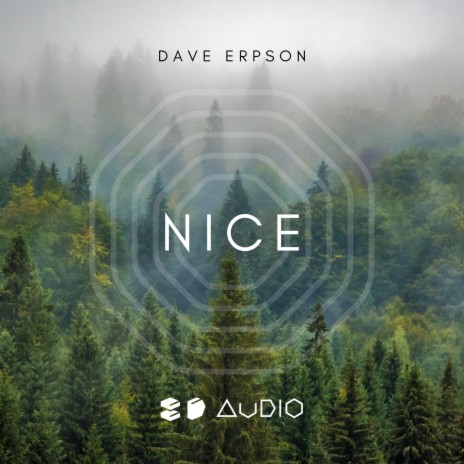 Nice (8D Audio) ft. 8D Audio & 8D Tunes | Boomplay Music