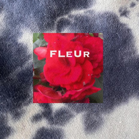 Fleur | Boomplay Music