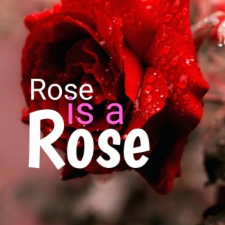 Rose is a Rose