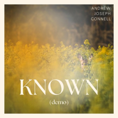 Known (demo) | Boomplay Music