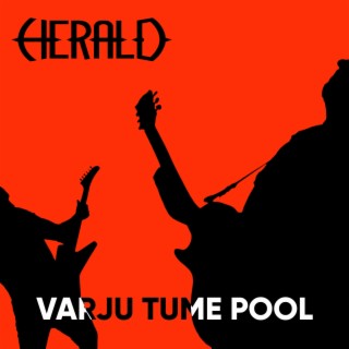 Varju tume pool