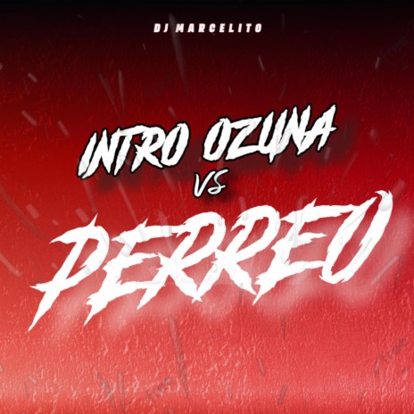 INTRO OZUNA VS PERREO (Remix)