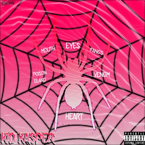 Real Spider Boys | Boomplay Music