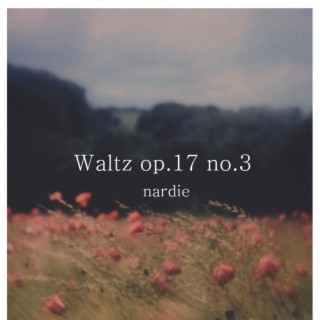 WALTZ OP.17 NO.3