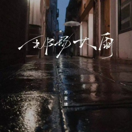 那场大雨 | Boomplay Music