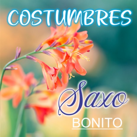 Costumbres (Cover) | Boomplay Music