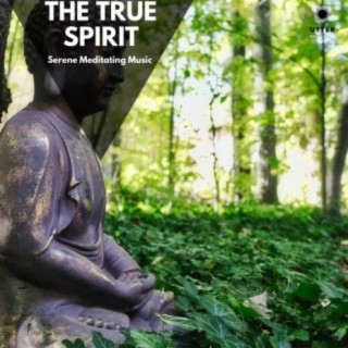 The True Spirit: Serene Meditating Music