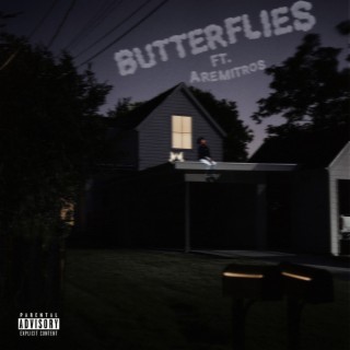 Butterflies ft. AremitRo$ lyrics | Boomplay Music