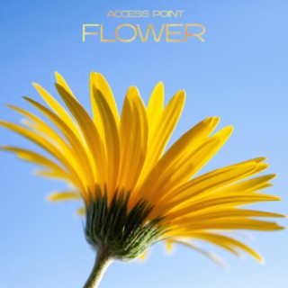 Flower lyrics | Boomplay Music
