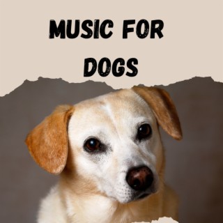 Music For Dogs (Vol.172)