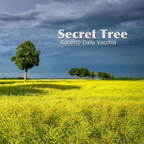 Secret Tree | Boomplay Music