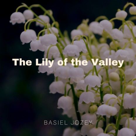 The Lily of the Valley | Boomplay Music
