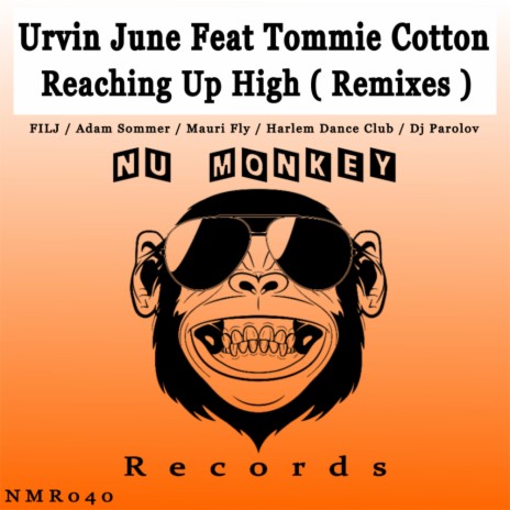 Reaching Up High (Harlem Dance Club Funky Disco Mix) ft. Tommie Cotton | Boomplay Music