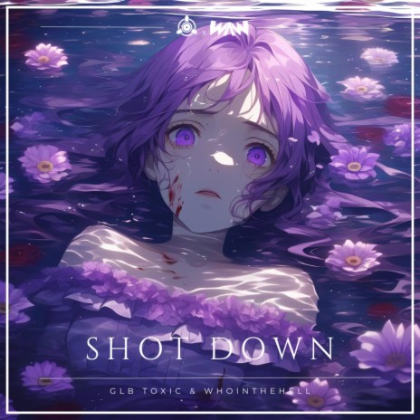 Shot Down ft. Whointhehell | Boomplay Music