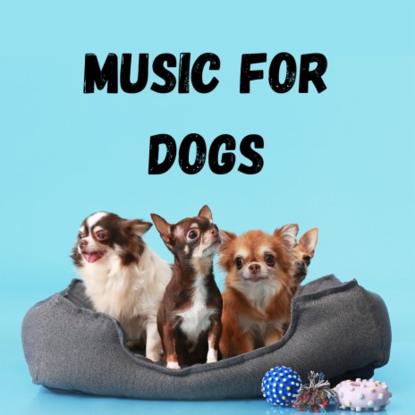 Classical Dog Music ft. Music For Dogs Peace, Calm Pets Music Academy & Relaxing Puppy Music | Boomplay Music