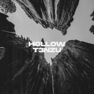 Hollow