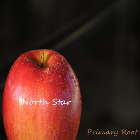 North Star