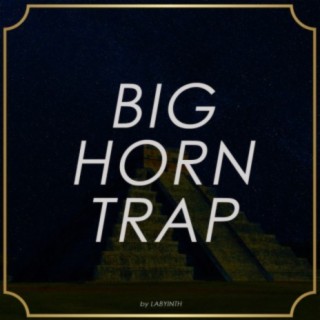 Big Horn Trap