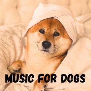 Music For Dogs (Vol.170)