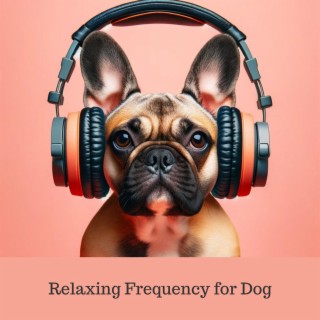 Relaxing Frequency for Dog